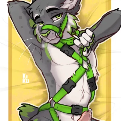 req lynx created by fenneckiro