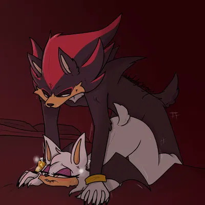 rouge the bat, shadow the hedgehog (sega, sonic the hedgehog (series)) created by naholadydragon