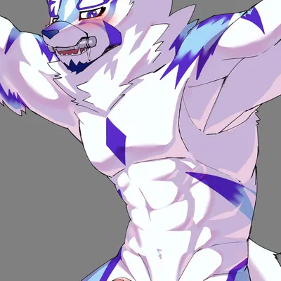 sadayoshi (lifewonders, live a hero) created by ho jiro