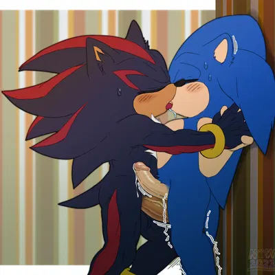 shadow the hedgehog, sonic the hedgehog (sega, sonic the hedgehog (series)) created by nowykowski7