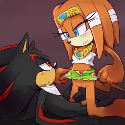 shadow the hedgehog, tikal the echidna (sega, sonic adventure) created by cylent nite