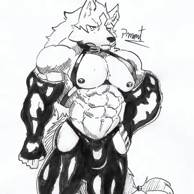 shirou ogami (brand new animal, studio trigger) created by pinumontbalou