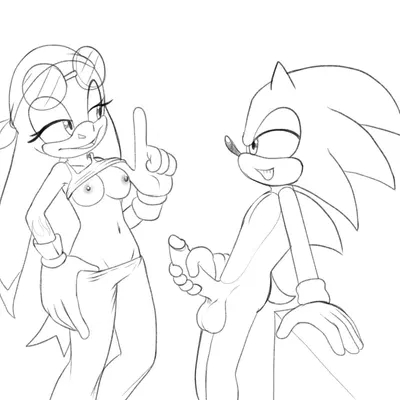 sonic the hedgehog, wave the swallow (sega, sonic riders) created by fourssss