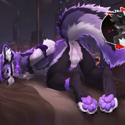 speedly created by alikars