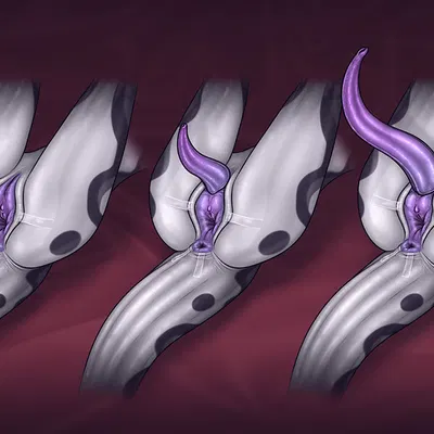 velux created by reinkorn