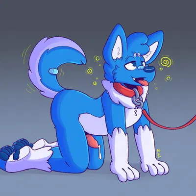 zeeb wolfy created by wolfyzeeb