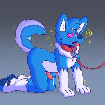 zeeb wolfy created by wolfyzeeb