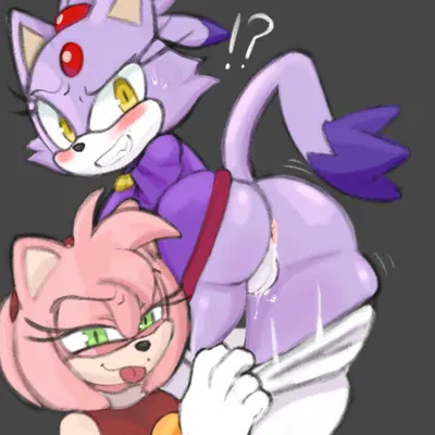 amy rose, blaze the cat (sega, sonic the hedgehog (series)) created by neisucksatart