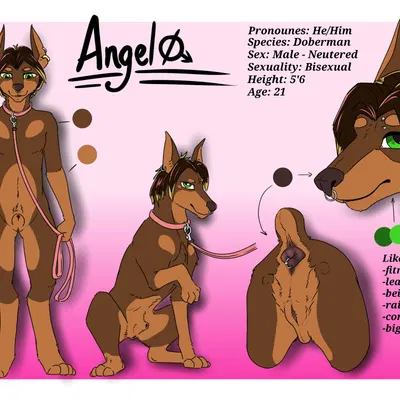 angel (danger raija) created by fisk24