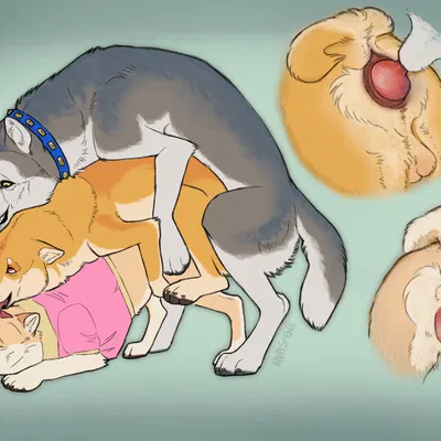 anvil (hakudoge), haku (hakudoge), panama (hakudoge) created by muttscene