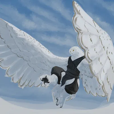 aria (kazzyboii) created by kazzyboii