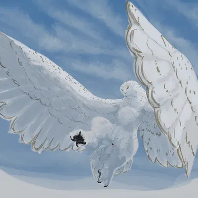 aria (kazzyboii) created by kazzyboii