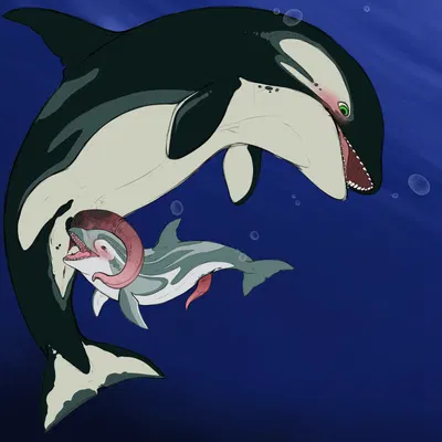 artty (benji), drift (benji) created by benji (artist)