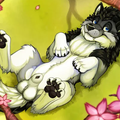 awkore created by ruster