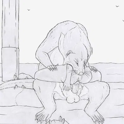 beachcomber (strega) created by strega