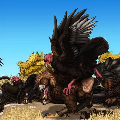 bear (shu the dragon), sawyer (ferobird) created by ferobird