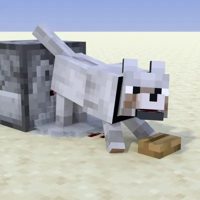 black collar (codedcells) (microsoft, minecraft) created by codedcells