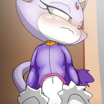blaze the cat (sega, sonic the hedgehog (series)) created by vulapa