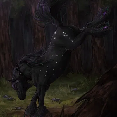 borealis thevaner created by scarlanya