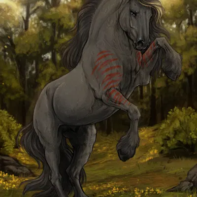 bucephalus created by scarlanya