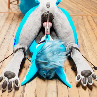 c4d created by daytia