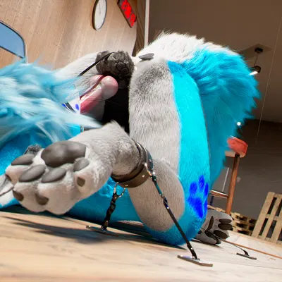 c4d created by daytia