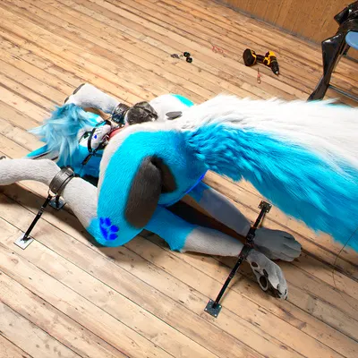 c4d created by daytia