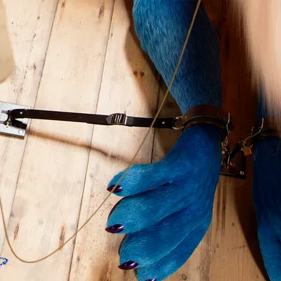 c4d created by daytia