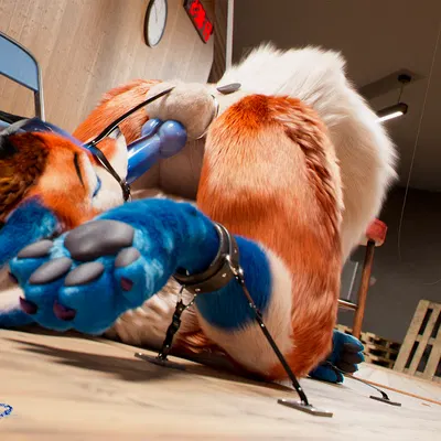 c4d created by daytia