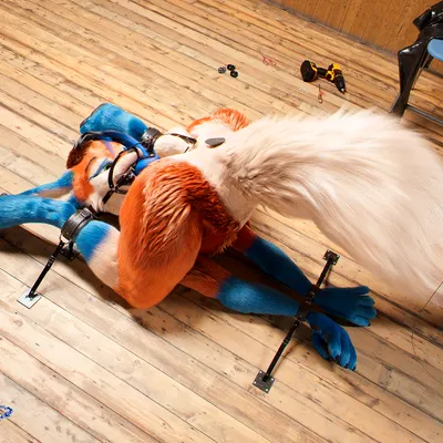 c4d created by daytia