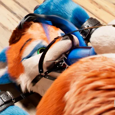 c4d created by daytia