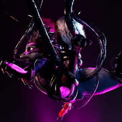 c4d created by daytia