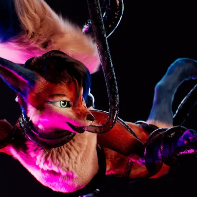 c4d created by daytia