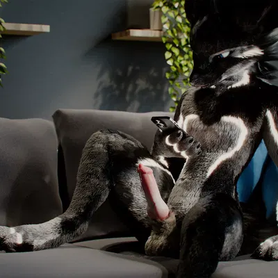 c4d created by daytia