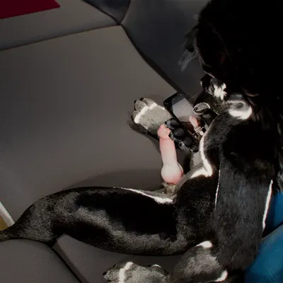 c4d created by daytia