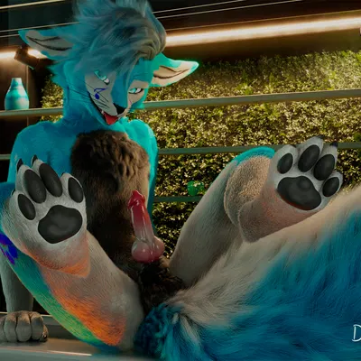 c4d created by daytia