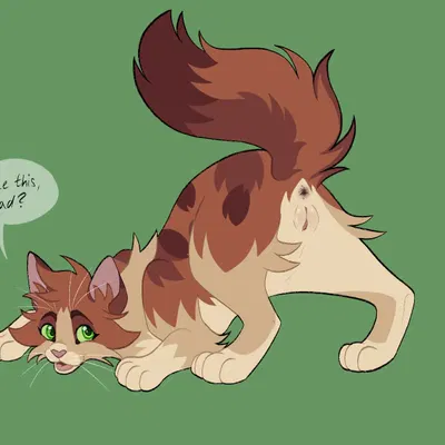 cherrytail (warriors), fan character (warriors (book series)) created by barkfur (artist)