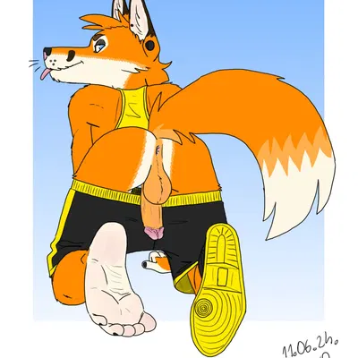 chris the fox (bartek22) created by bartek22