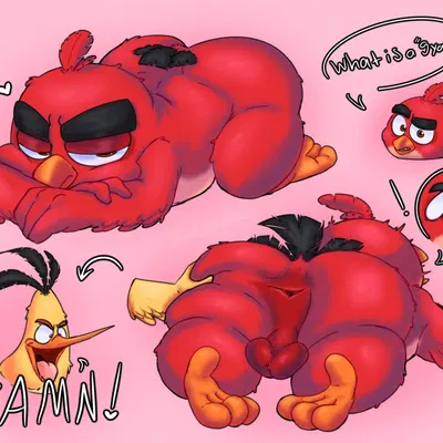 chuck (angry birds), red (angry birds) (angry birds, gyatt (meme)) created by bird brained