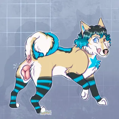 created by apollo sunshiba