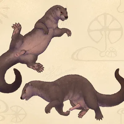 created by cloudweaver (artist)