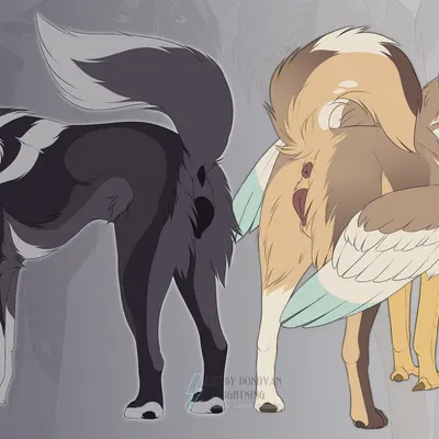 created by donovanlightning