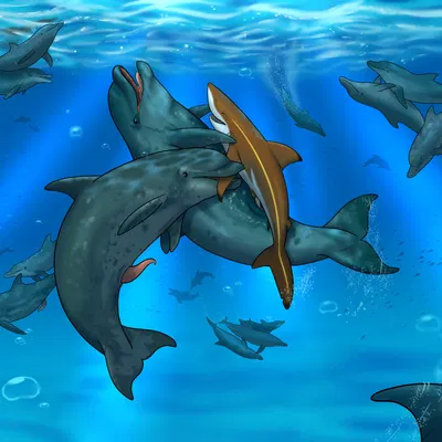 created by flippin-rad