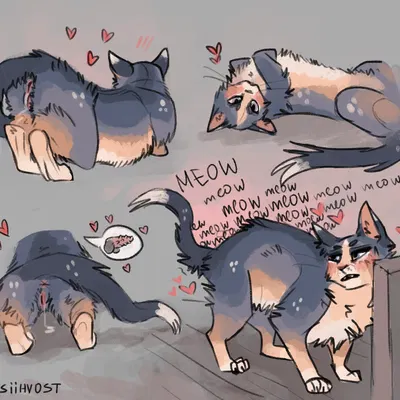 created by kutsiihvost