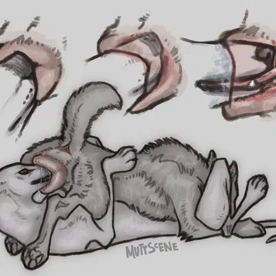 created by muttscene