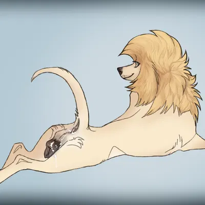 created by muttscene