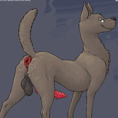 created by pedrohspacewolfy