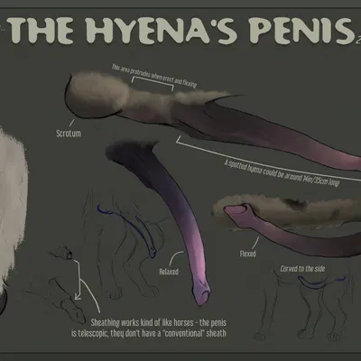 created by strana (artist)