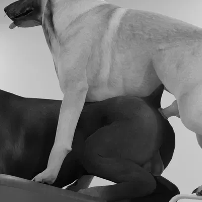 created by thegoldenshepherd