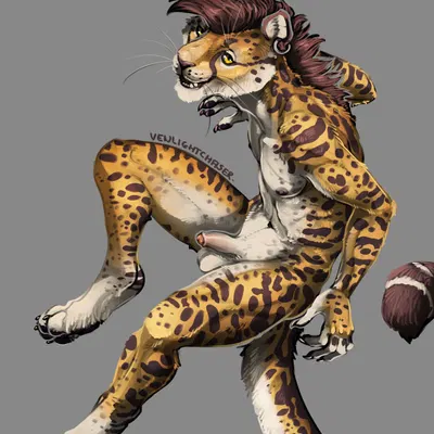 created by venlightchaser